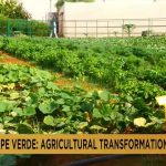 South African anti-apartheid author Breyten Breytenbach dies at 85 in Paris.